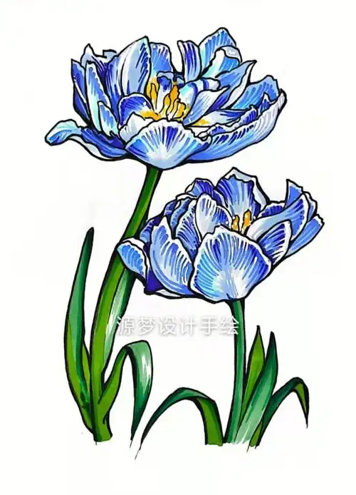 源梦设计手绘视觉传达图形创意教师范画