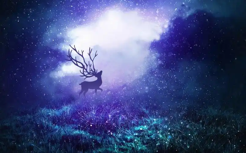 梦幻森林麋鹿林深时见鹿