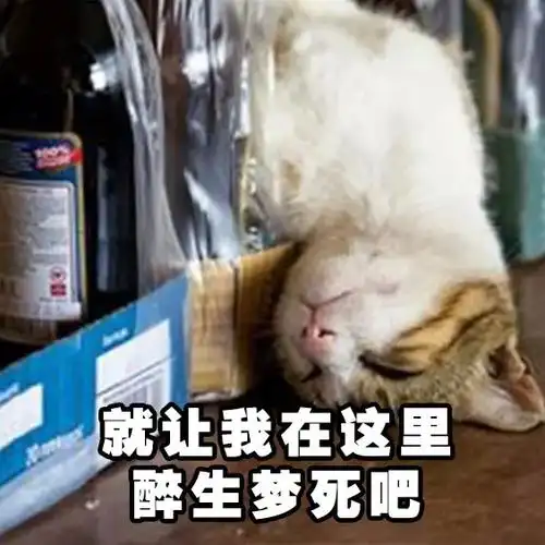 表情包-搞笑图片表情#猫猫#喝酒#这瓶#喝完#三家#一起一起喝完这瓶