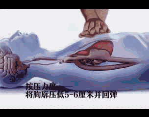 304_240gif 动态图 动图