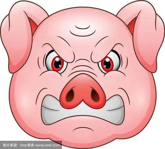愤怒的猪头卡通吉祥物