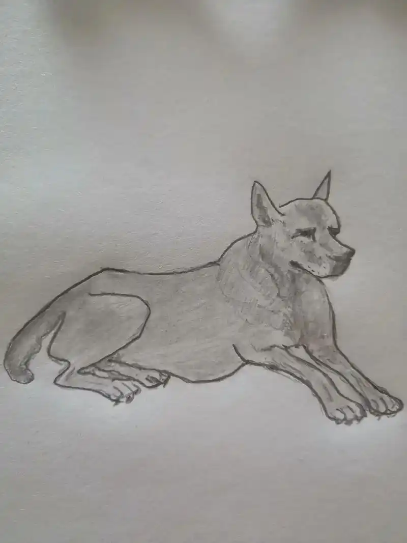 素描写意画动物之狗98 - 抖音