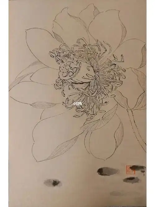 临@月升-刘胜老师白描莲蓬上手就歪画着画着就潦草莫急,慢慢来#画画