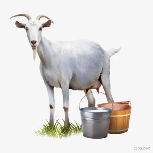 羊奶png素材透明免抠图片动植人物