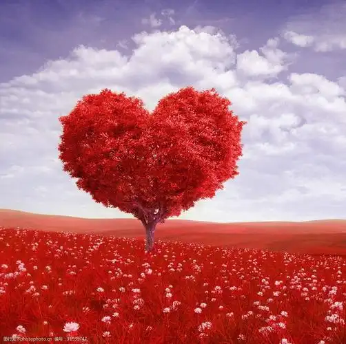 红色心形大树