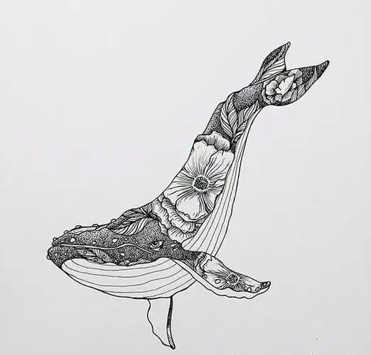 针管笔鲸鱼绘画