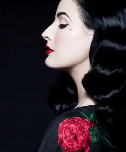 蒂塔·万提斯 (dita von teese),复古美人