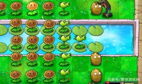 被啃食的坚果墙