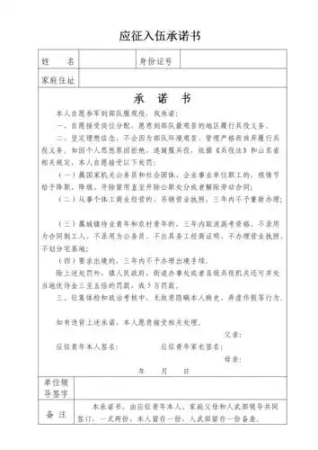 应征入伍承诺书.doc-原创力文档