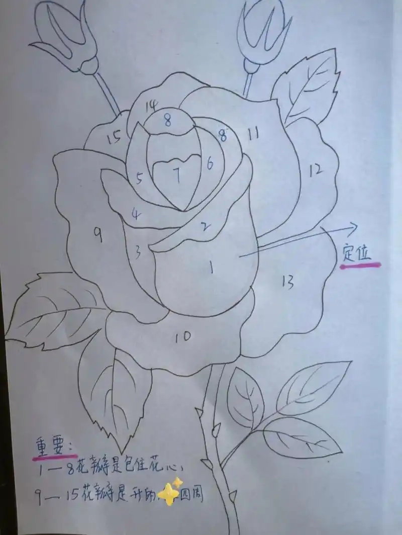 弥漫着一股香气和烂漫气息,于是今天的素材就是画《粉色月季》,希望