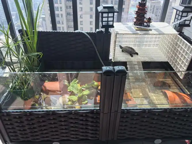 乌龟水陆饲养缸养龟水箱生态环境养殖内嵌内置玻璃缸巴西草龟深水