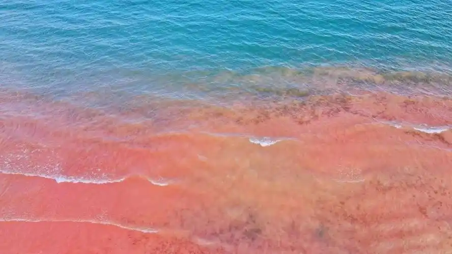 网友眼中的抚仙湖红沙滩-玉溪搜狐焦点