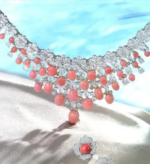 广州查获巨型女王凤凰螺,内藏珍珠曾卖2400万,至今无法人工养殖