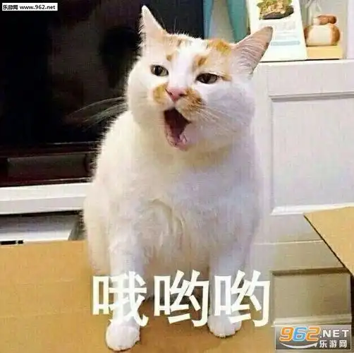 【看世界】写在前面