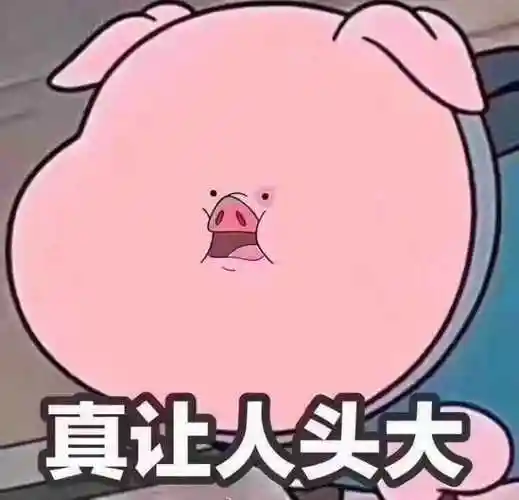 猪头gif肥胖gif可爱gif真让人头大gif