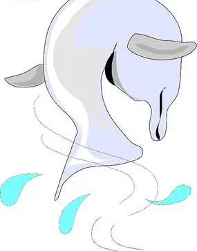 手绘插画跃出水面的海豚