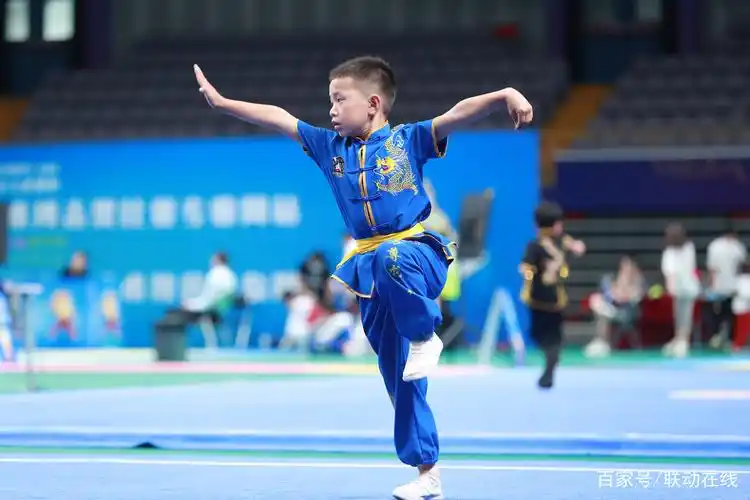 少幼儿武术,对孩子们的健康成长有哪些好处?