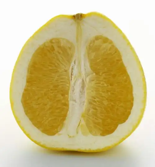 餐桌,桌子,柚子,水果,切开,阴影,新鲜,反射,影子,生食,食品,果实,半个