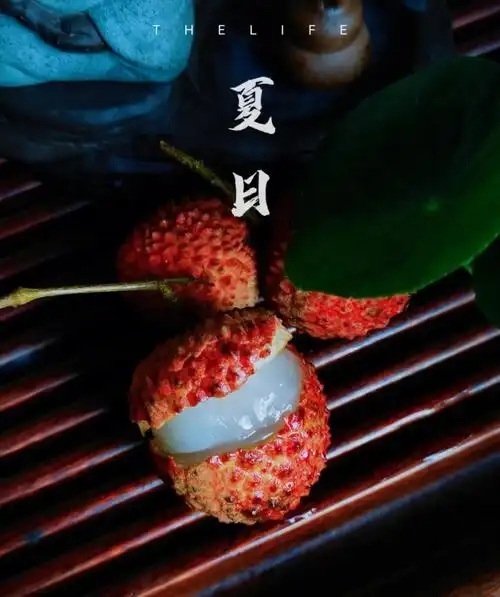 锦江近西烟水绿新雨山头荔枝熟