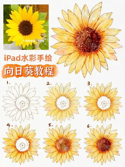 超简单75procreate水彩向日葵手绘教程
