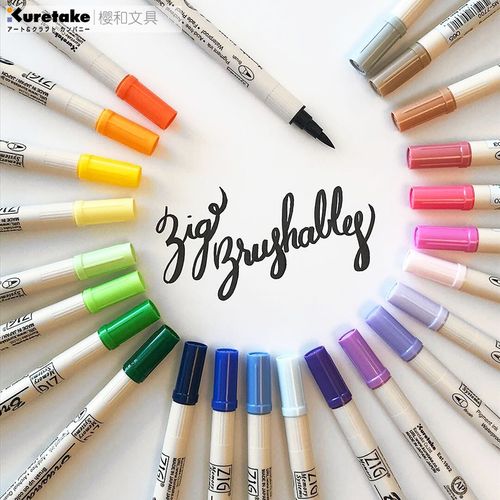 笔双头双色刷头笔水彩笔画画笔手账笔绘画毛笔初学者手绘勾线笔马克笔