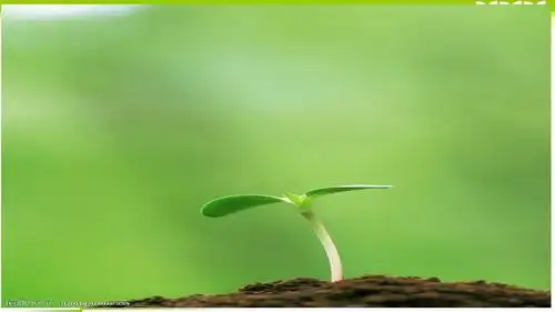 部编版一年级语文下册1,《春夏秋冬》精品ppt课件