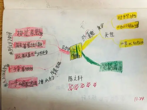 《17.难忘的泼水节》思维导图