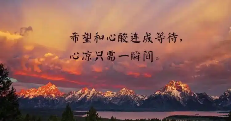 2020度最心酸的文案