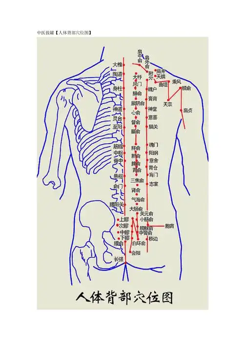 中医拔罐【人体背部穴位图】