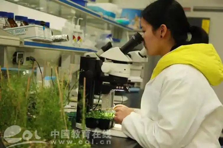 浙江省森林芳香植物康养功能研究重点实验室落户浙江农林大学