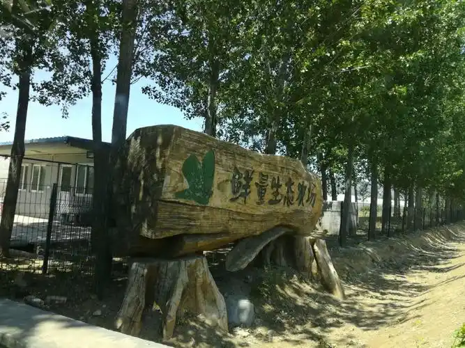 周未农场游20170506