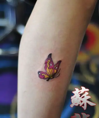 女孩子腿部小蝴蝶纹身图案