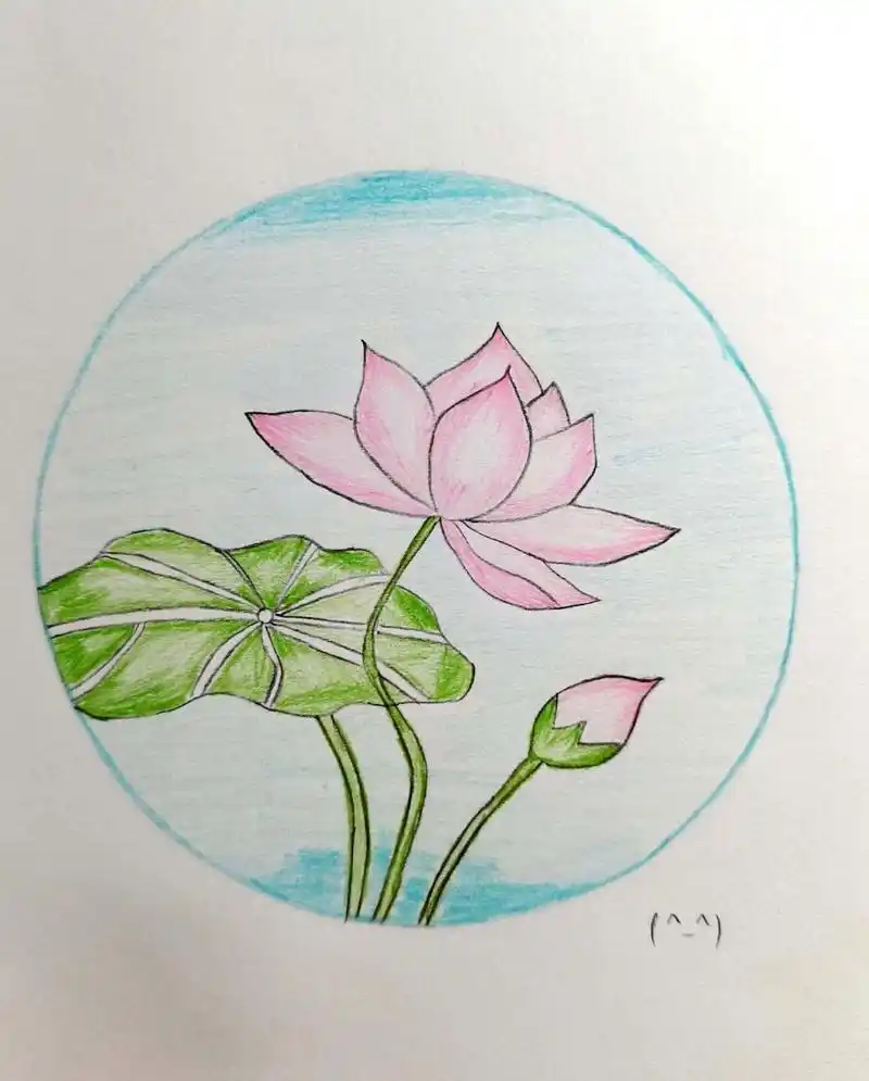 荷花彩铅简笔画 荷花彩铅简笔画