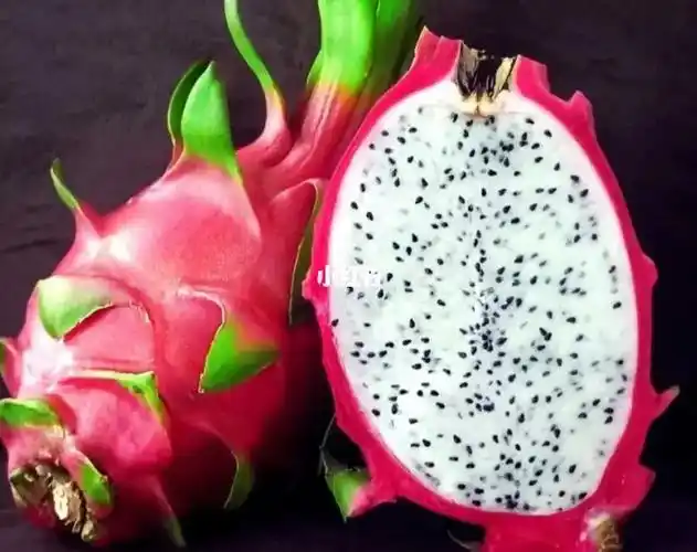 评论区有人蹲星星火龙果籽来了