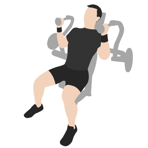 健身房新手如何雕塑手臂,小腿及核心-搜狐体育