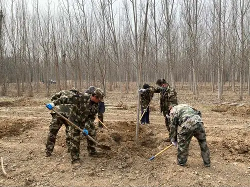 北郊林场开展春季植树造林活动