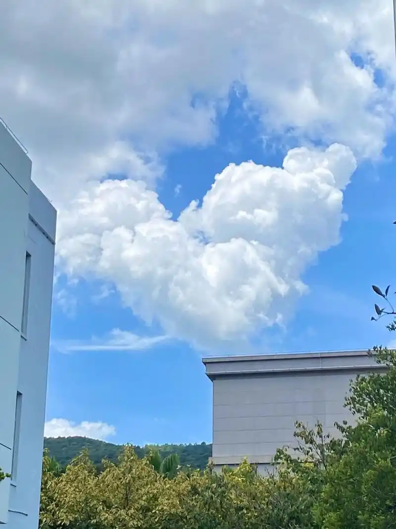 莆田|爱心云朵|无需滤镜的蓝天白云 7815blue sky 抬头遇到了心形