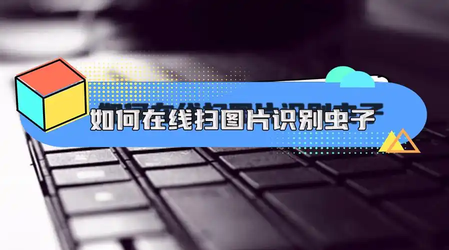 如何在线扫图片识别虫子?7个软件让你轻松进行扫描图片识虫