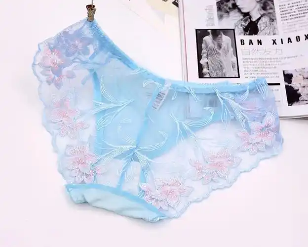刺绣性感少女内裤透明网纱低腰三角裤水仙花