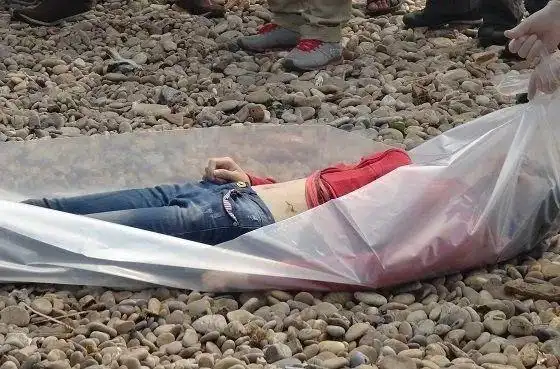 探案志揭秘白冰冰女儿白晓燕撕票事件始末曾轰动全台湾