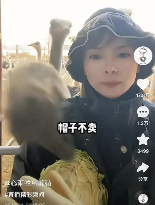 东北美女直播卖鸵鸟年销400万中学生也成了铁粉