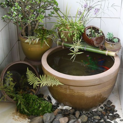 瓦盆水缸家用老式土陶发酵缸米桶腌菜腌肉庭院造景种花养鱼荷代发