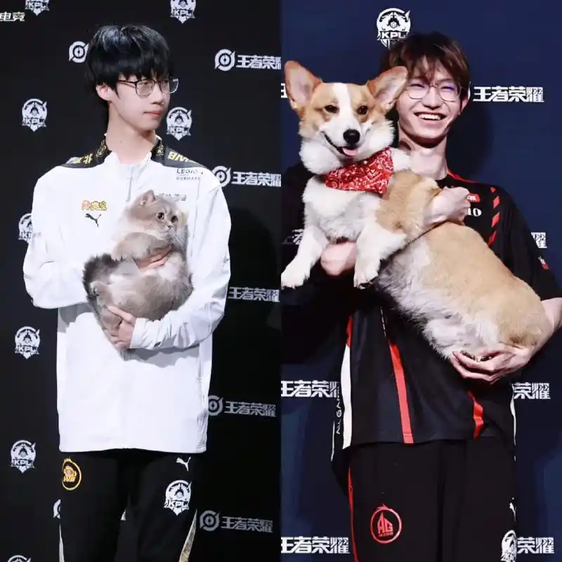 "猫狗日记"#成都ag超玩会一诺 #北京wb暖阳 #一阳cp - 抖音