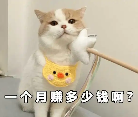 家有萌宠 | 来自喵星人的问候:新年福气多多,红包多多,鱼粮多多