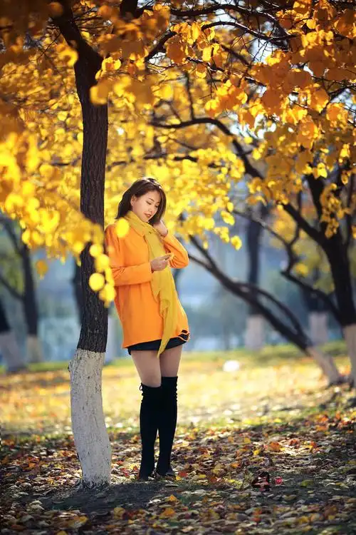 因为秋天还会来