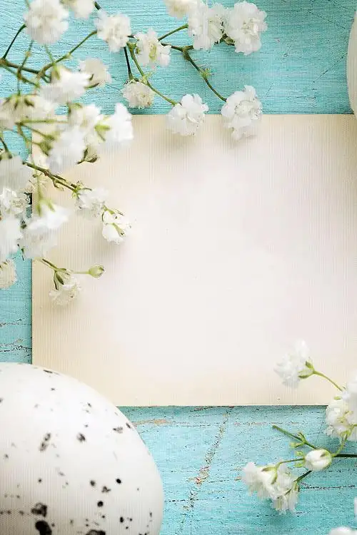 唯美小清新春上新海报psdjpg天猫上新时尚大气女装女包化妆品海报背景