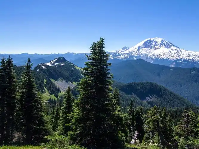首页 自然与风景 阿拉斯加,山,树,森林,蓝天,美国 壁纸 / 2560x1920