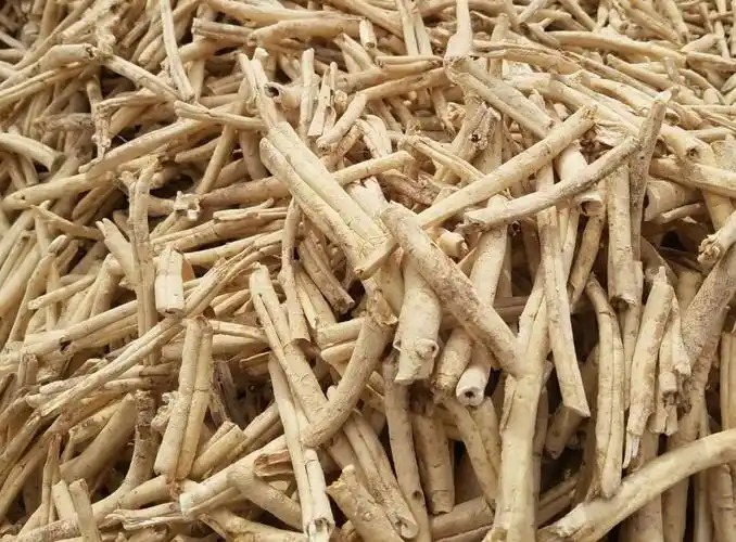 佳木斯白鲜皮|辽宁哪里可以买到热销白鲜皮