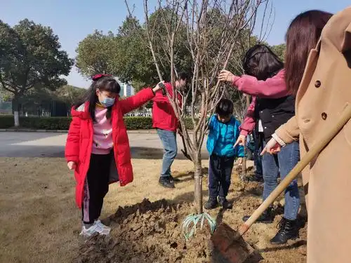 又是一年植树节