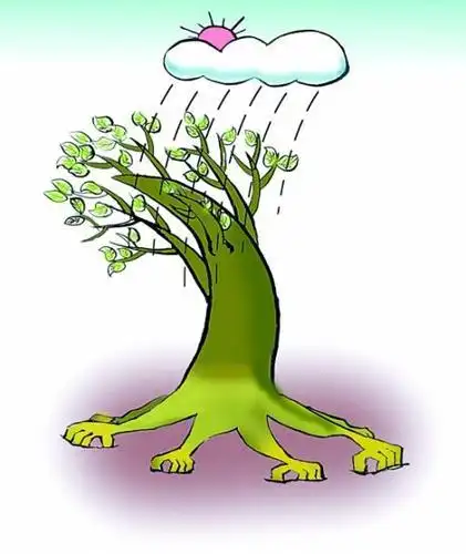 第二步画出远山第一步画出大树这一篇文章告诉你春雨图简笔画怎么画展